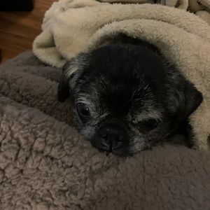 Meet your Posher, Kelsey